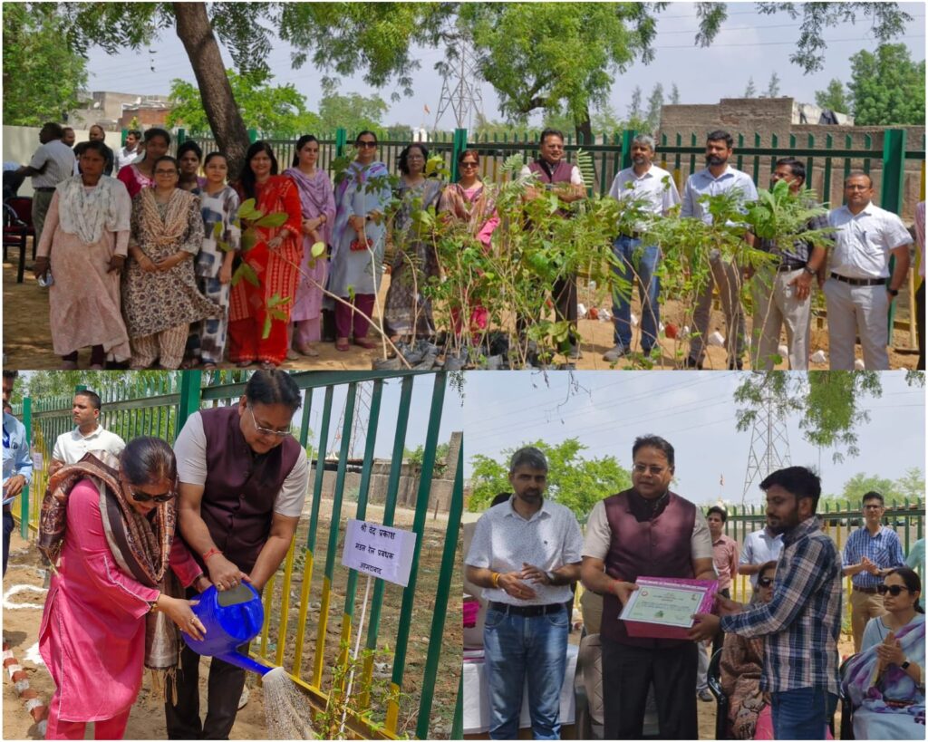 वटवा से साबरमती तक बनेगा ग्रीन कॉरिडोर, पर्यावरण दिवस पर डीआरएम ने 100 पौधों का रोपण कर किया शुभारंभ